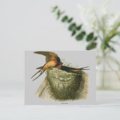 バーンスワローズ ポストカード (スタンド正面)