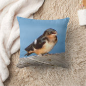 バーンスワローピロー クッション (ブランケット)