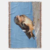 バーンスワローブランケット スローブランケット (正面縦)