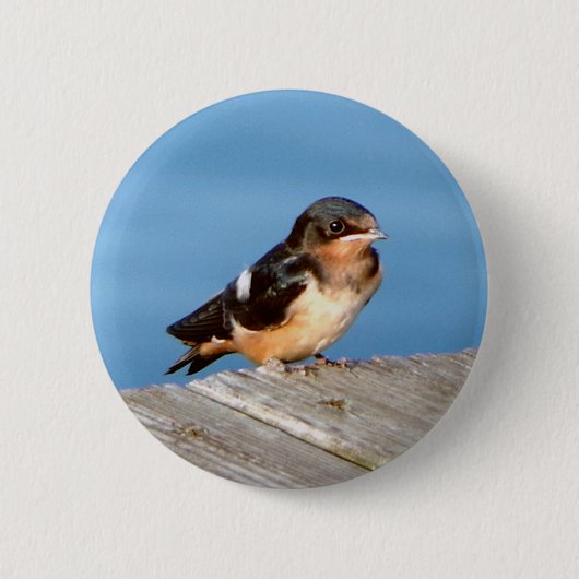 バーンスワローボタン 缶バッジ (正面)