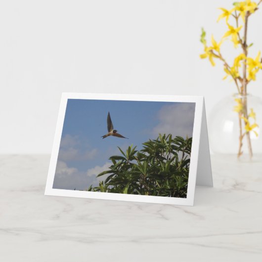 バーンスワローポートレート カード (黄色い花)