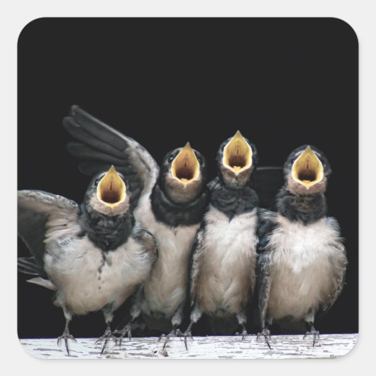 バーンスワロー歌 スクエアシール (正面)