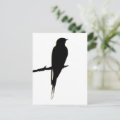 バーンスワロー男性ポストカード ポストカード (スタンド正面)