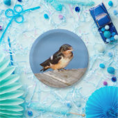 バーンスワロー紙プレート ペーパープレート (パーティー)