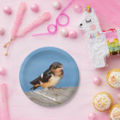 バーンスワロー紙プレート ペーパープレート (パーティー)