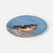 バーンスワロー紙プレート ペーパープレート (アングル)