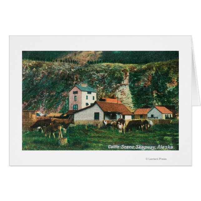 バーンズの間の牛SceneSkagway, AK (正面横)