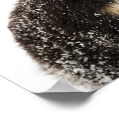 バーンズマウンテンドッグパピーズがお互いを嗅ぎ合う ポスター (角)