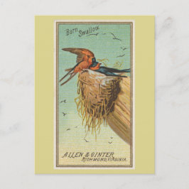 バーンツバメ ポストカード