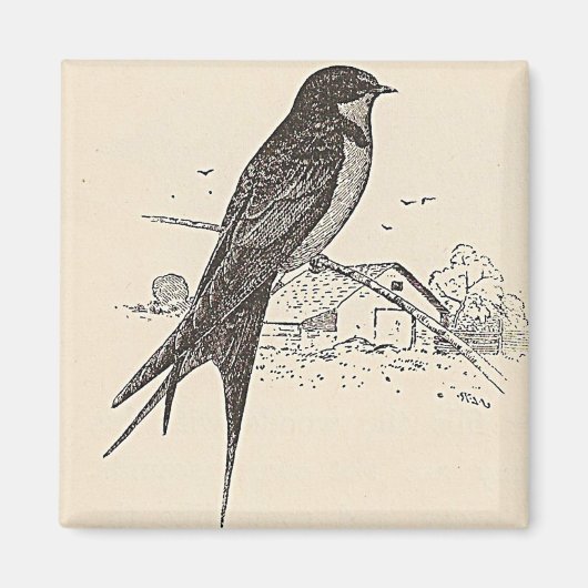 バーンツバメ マグネット (正面)