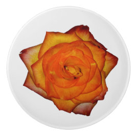 バーントオレンジバラ セラミックノブ