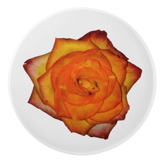 バーントオレンジバラ セラミックノブ (正面)