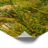 バーンドアイランドライトハウスメイン ポスター (角)