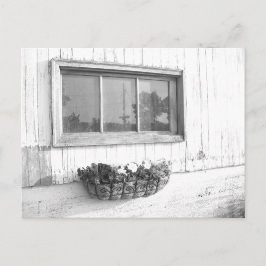 バーンドアウィンドウ/白黒の写真 ポストカード (正面)