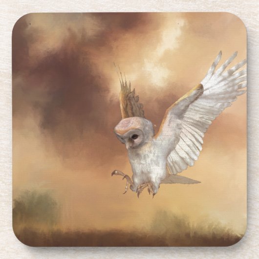 バーンドウル飛行 コースター (正面)