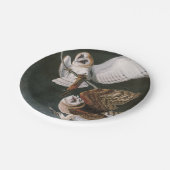 バーンドウル、アメリカの鳥ジョン・ジェームズ・オードボン ペーパープレート (アングル)