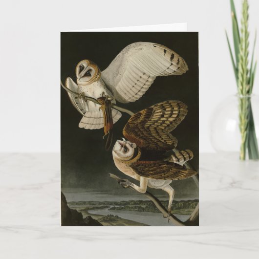 バーンドウル（ティトアルバ）オードボンズバーズオブアメリカ カード (正面)