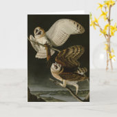 バーンドウル（ティトアルバ）オードボンズバーズオブアメリカ カード (黄色い花)