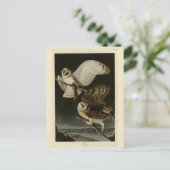 バーンドウル(ティトアルバ)オードボンズバーズオブアメリカ ポストカード (スタンド正面)