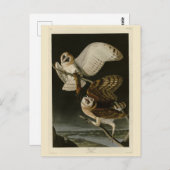 バーンドウル(ティトアルバ)オードボンズバーズオブアメリカ ポストカード (正面/裏面)