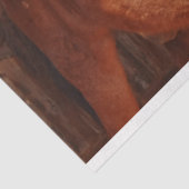 バーンドホースティッシュペーパー 薄葉紙 (詳細)