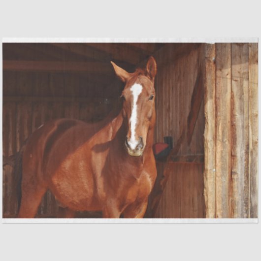 バーンドホースティッシュペーパー 薄葉紙 (正面)