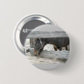 バーンドホースユーモア 缶バッジ (正面&裏面)