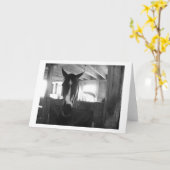 バーンドホース カード (黄色い花)