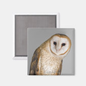 バーンドロウのポートレート(Tyto alba)。 マグネット (正面/裏面)