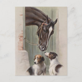 バーンバディ ポストカード