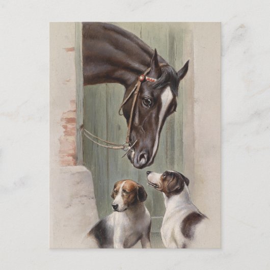 バーンバディ ポストカード (正面)