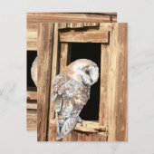 バーンフクロウインバーンドウアニマル自然アート ポストカード (正面/裏面)