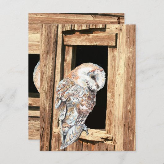 バーンフクロウインバーンドウアニマル自然アート ポストカード (正面/裏面)