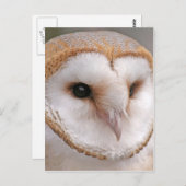 バーンフクロウポートレート ポストカード (正面/裏面)