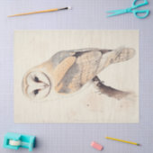 バーンフクロウヴィンテージデカップバードズ絵を描アート 薄葉紙 (クラフト)