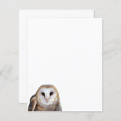 バーンフクロウ写真文房具紙 (正面/裏面)