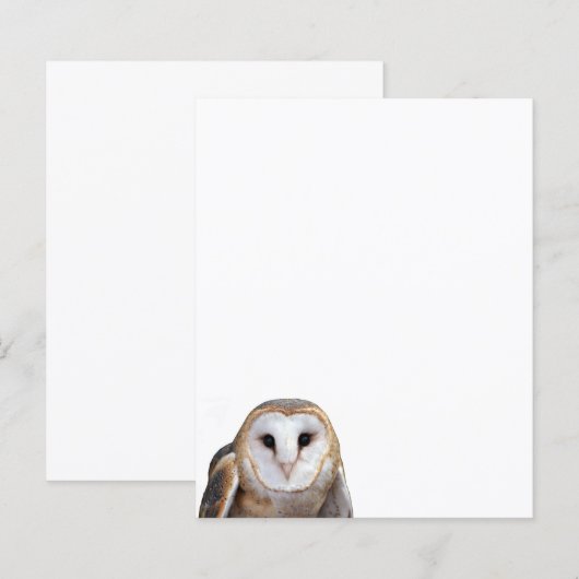 バーンフクロウ写真文房具紙 (正面/裏面)