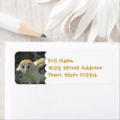 バーンフクロウ差出人住所ラベル ラベル (インサイチュ)