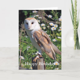 バーンフクロウ誕生日カード カード