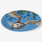 バーンフクロウ飛行写真 ペーパープレート (アングル)