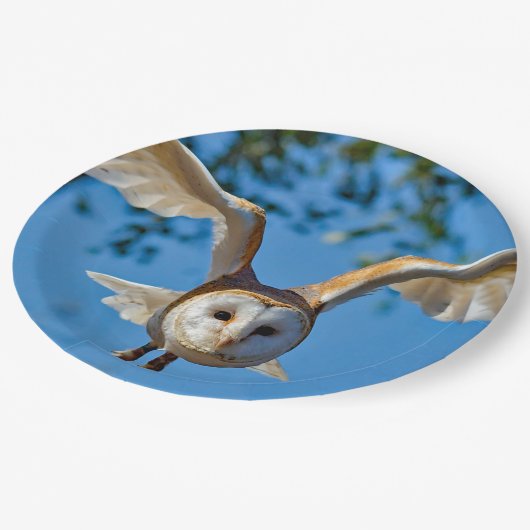 バーンフクロウ飛行写真 ペーパープレート (アングル)