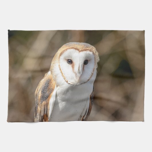 バーンフクロウ キッチンタオル (横)