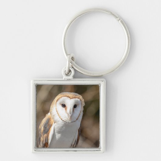 バーンフクロウ キーホルダー (正面)