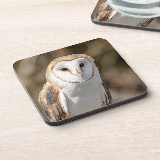 バーンフクロウ コースター (左側)