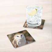 バーンフクロウ スクエアペーパーコースター (インサイチュ)