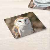 バーンフクロウ スクエアペーパーコースター (アングル)