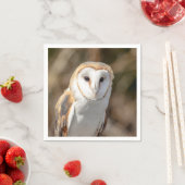 バーンフクロウ スタンダードカクテルナプキン (インサイチュ)