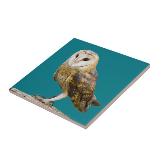 バーンフクロウ タイル (側面)