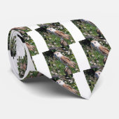 バーンフクロウ ネクタイ (ロール)