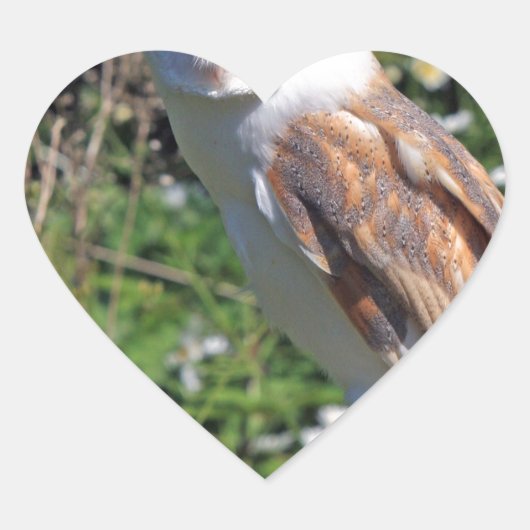 バーンフクロウ ハートシール (正面)